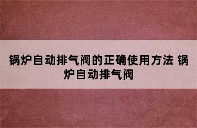 锅炉自动排气阀的正确使用方法 锅炉自动排气阀